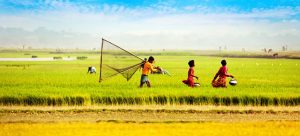 বাংলাদেশ