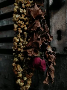 নিশ্চল কলেবর