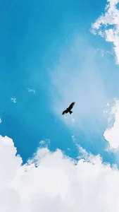 নীল আকাশের ওপারে