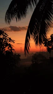 শেষ ইচ্ছা