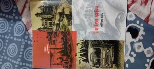 টাঙ্গাইলে একদিন